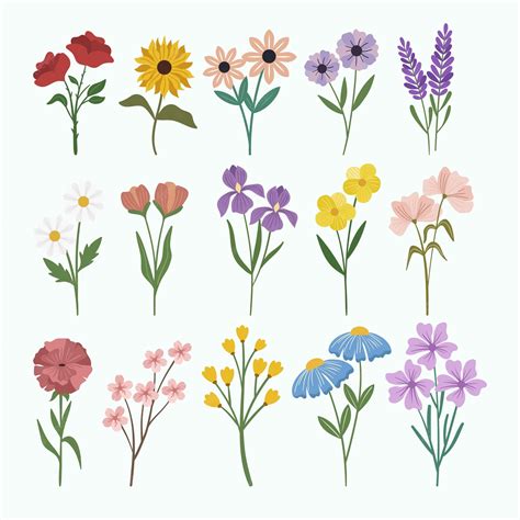 Premium Vector | Set of spring flowers vector collection