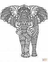 Elephant Zentangle coloring page  Free Printable Coloring Pages sketch template