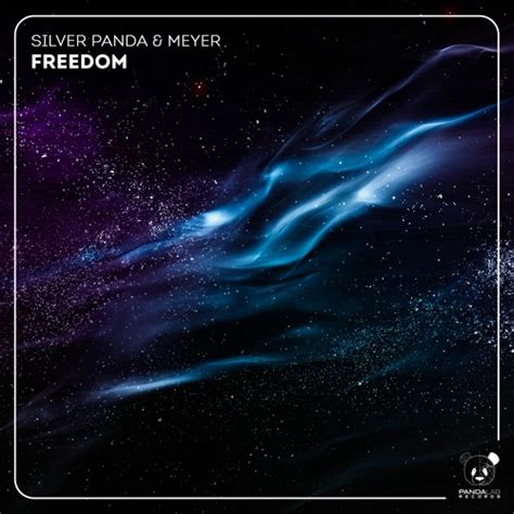 Stream Premiere: Silver Panda & Meyer - Freedom by Obsessive ...