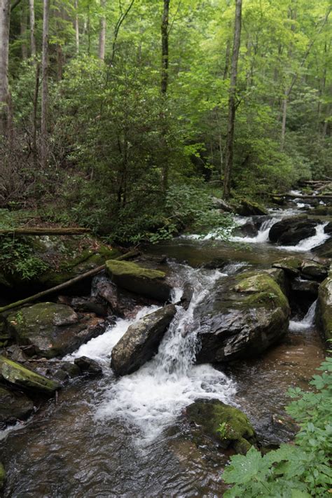 Amicalola Falls State Park – Clean Public Domain