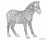 Zebra Coloring Pages Printable sketch template
