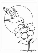 Hummingbird Coloring Pages A Delightful Journey Into The World Of Tiny  sketch template