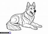 Printable German Shepherd coloring Page  Free Pages sketch template