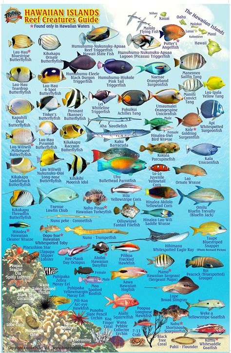 Hawaiian Reef Fish Chart: A Visual Reference of Charts | Chart Master