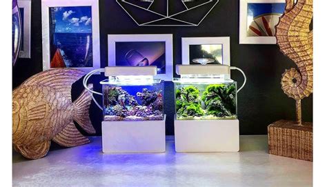 Mini Complete Tank - OFFICIAL Mini Aquarium | Mini aquarium, Aquarium ...