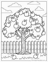 Coloring Tree Kindergarten Color The Apple Page Twisty sketch template