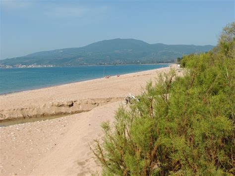 Paralia beach Photo from Velika Beach in Messinia | Greece.com