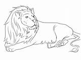 Lion coloring pages To Download And Print For Free sketch template