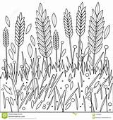 Coloring Books About Crops Pages sketch template