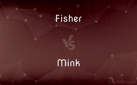 Fisher vs. Mink — What’s the Difference?