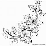 Flower Vine Coloring Pages  Free & Printable sketch template