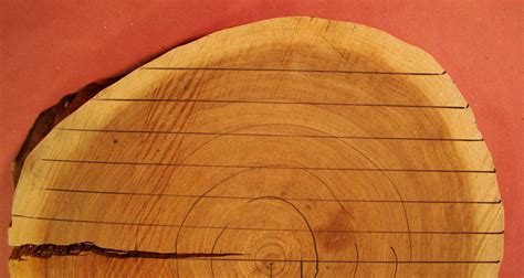 Quarter Sawn Wood: 3 Reasons to Use | WWGOA | WoodWorkers Guild of America