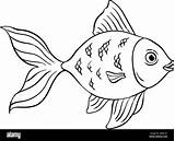 Goldfish Isolated Coloring Page For Kids Stock Vector Image & Art  Alamy sketch template