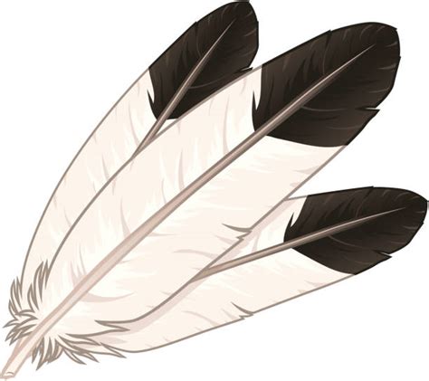 Eagle Feather Illustrations, Royalty-Free Vector Graphics & Clip Art ...