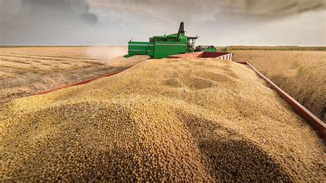 How are 135 tons of soybeans produced by American farmers - American ...