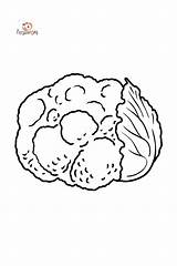 Página Para Colorir de couve Flor  Coloring For Kidscom sketch template