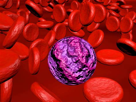 Inhibitor harms leukemic stem cells while boosting normal ones | BioWorld