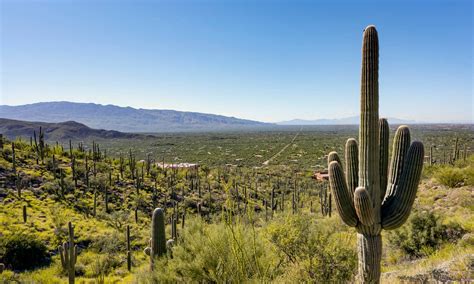 Mount Lemmon Cabins | Cabins and More | Airbnb