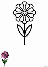 Zinnia Flower Coloring Page In JPG EPS PDF  Download Templatenet sketch template