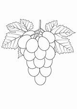 Grapes coloring Pages To Download And Print For Free sketch template