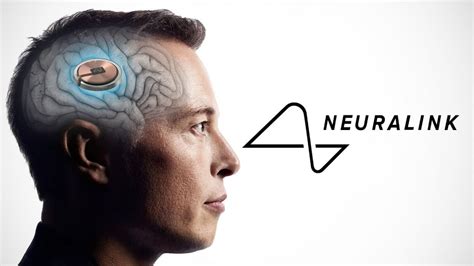 Elon Musk's Neuralink Aims to Connect Brains to Computers in 2024 - Co ...