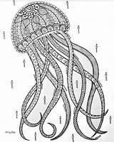 10 Best Ideas Online Interactive Coloring Pages For Adults sketch template