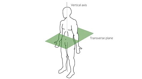 What are Axis and Planes of the Body, and its Type