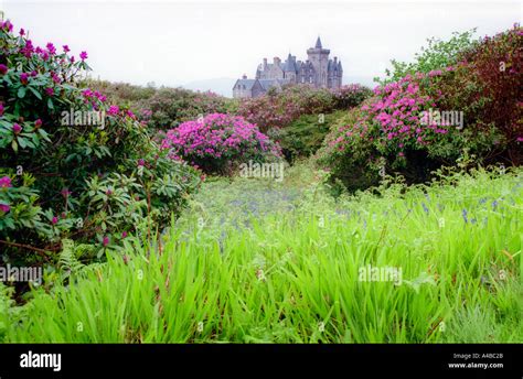 Glengorm Castle Isle of Mull Scotland Stock Photo - Alamy