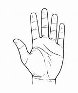 Open Human Hand Drawn Palmistry Vector Ink Style Tattoo sketch template