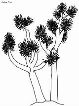 28  New Image Elm Tree Coloring Page Oak coloring Pages For Kids sketch template
