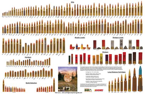 Cartridge Comparison Guide the Ultimate Hunting and Ballistics Manual | OutdoorHub