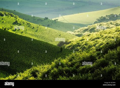 Cranborne Chase, Dorset, England Stock Photo - Alamy