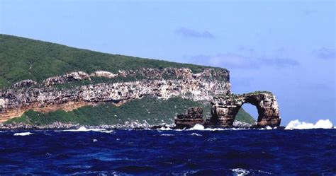 Galapagos Islands: Darwin and Wolf islands offer world class diving