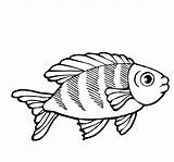 Cute Fish Coloring Pages Printable Free And Easy To Color sketch template