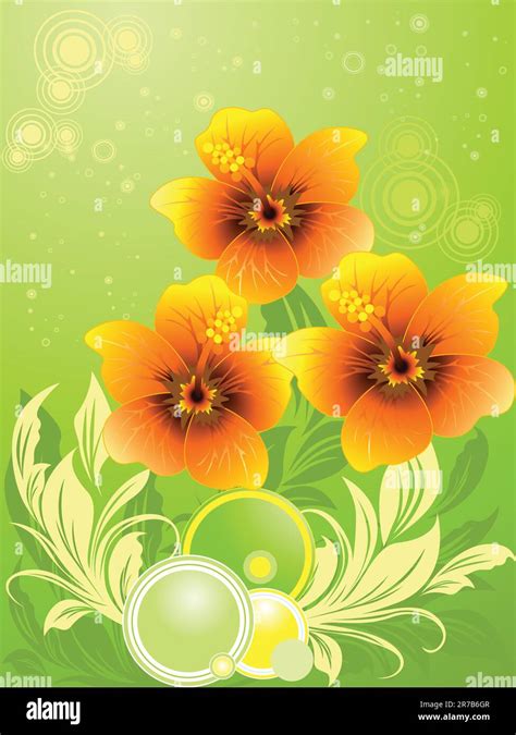Vector illustration of summer composition with orange hibiscus Stock ...