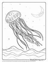 100  Jellyfish coloring Pages Free PDF To Print Woo Coloring sketch template