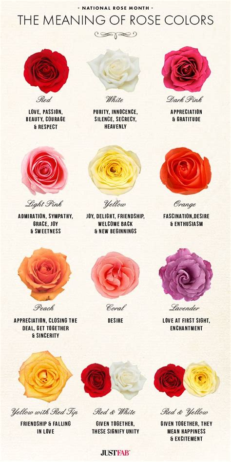 National Rose Month: The Meaning of Rose Colors | Rose color meanings ...