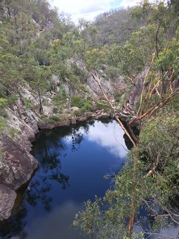 Crows Nest Falls Circuit - Aussie Bushwalking