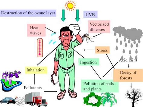 Air pollution - Encyclopedia of the Environment