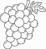 Grapes Coloring Page sketch template