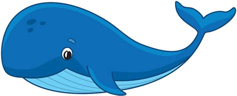 Baleine image clipart. Téléchargement gratuit transparent .PNG | Creazilla