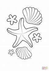 Starfish Coloring Pages To Print At GetDrawings  Free Download sketch template