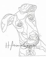 Greyhound Coloring Page  Instant Download Love Dogs sketch template