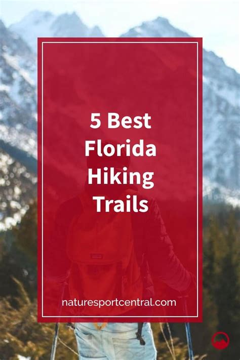 5 Best Florida Hiking Trails | Hiking trails usa, Hiking in florida, Hiking trails