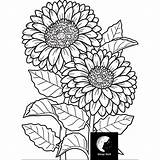 Sunflower Mandala Coloring Page  Sleep Wells Ko Fi Shop ️ sketch template