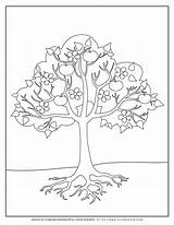 Parts Of A Tree Coloring Page At Joel Morton Blog sketch template