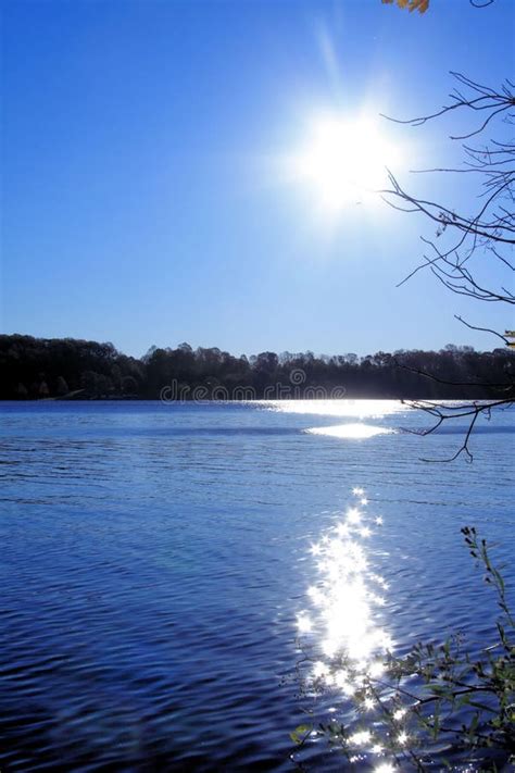 Sunny Lake stock photo. Image of pond, silhouette, leaf - 1434658