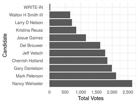 Assessment of NL-S School Board Election | by Mark Peterson | Medium