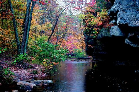 a rock bluff above a creek with lots of fall color at Hawn State Park ...