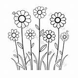 Best Color Of Flower Coloring Pages Outline Sketch Drawing Vector PNG  sketch template